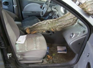 Before Tree Through Windshield, Broken Glass In Car - American Auto Body in Brooklyn Park  MN